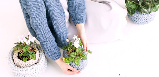 woman caring for cyclamens