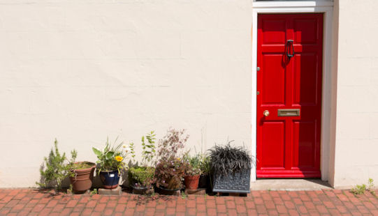 plant pots outside a red door
